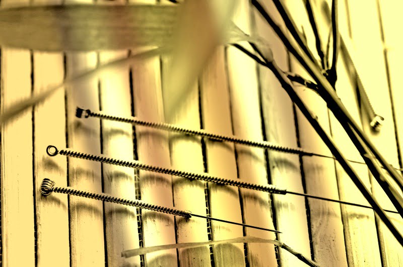 acupuntura veterinária