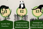 Congresso Internacional Fauna FMVUL Veterinária Atual