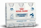nutrição Royal Canin