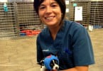 maria oliveira veterinaria atual