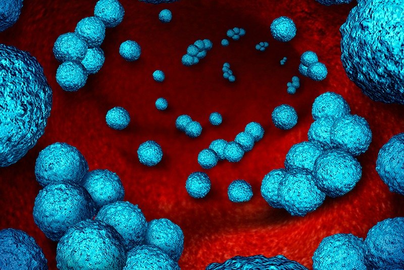 DGAV e OMV juntam-se para debater resistência aos antimicrobianos