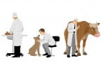 veterinario ilustracao veterinaria atual