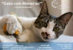 CPCA Gato com Maneiras Veterinária Atual