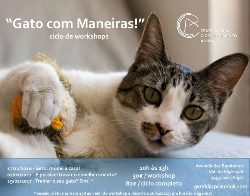 CPCA Gato com Maneiras Veterinária Atual