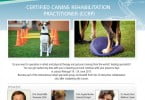 Certificação Reabilitação Canina Veterinária Atual