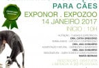 Seminario Nutrição para Cães DingoNatura