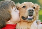 criança com cão Veterinária Atual