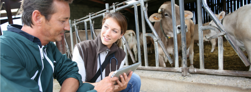 Governo cria bolsa de inspetores veterinários