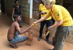 voluntariado ssrilanka veterinariaatual