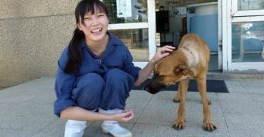 veterinária de Taiwan com cão Veterinária Atual
