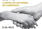 APMVEAC formação Luto Veterinária Atual