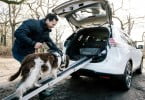 Nissan X Trail  Dogs Veterinária Atual