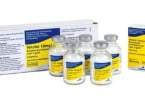 medicamentos veterinários