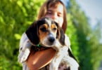 cão e criança Veterinária Atual