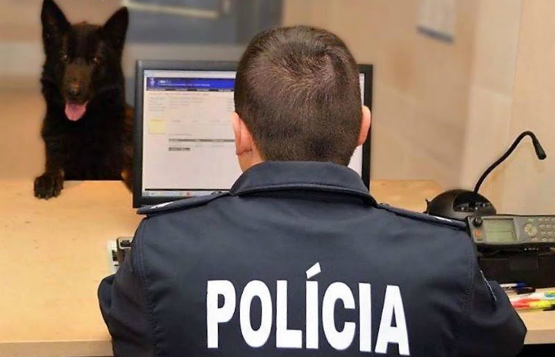 PSP relembra contactos para denúncias de maus tratos a animais - Veterinaria Atual