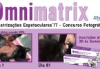 imagem para press OmnimatrixPT