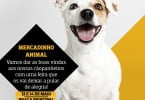 cão centro comercial Alegro Alfragide Veterinária Atual