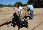 Olhão já tem um parque canino