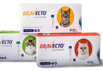 Prémio 'Easy to Give' atribuído pelo International Cat Care ao Bravecto Spot-On de Gato