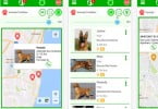 Perdeu o seu animal? Esta app nacional ajuda-o a encontra-lo