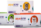 Bravecto Gato MSD Animal Health