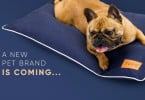 Já conhece a nova marca de produtos pet 100% nacional?