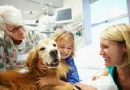 Hospital permite que crianças internadas recebam visitas de cães