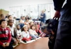 ‘Eu cuido’: o projeto que ensina crianças a cuidar de animais de companhia