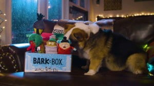 Bark Box - Veterinária Atual