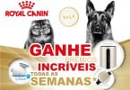 Royal Canin oferece prémios com gama Breed