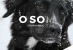 Royal Canin partilha “o som do abandono” para consciencializar para o abandono de animais