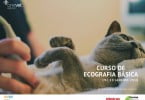 curso ecografia veterinariaatual