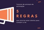 Infografia: 5 regras para donos de animais de estimação