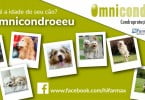 Omnicondro lança novo passatempo no Facebook para sensibilizar para a condroproteção preventiva