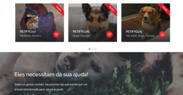 Petify: a plataforma nacional que quer facilitar a adoção de animais