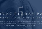 regrascompravendaanimais  veterinariaatual