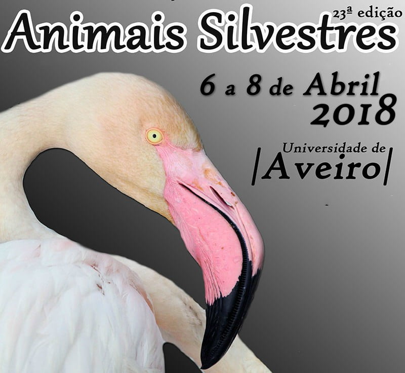 Recuperação de Animais Silvestres: associação promove workshops em abril