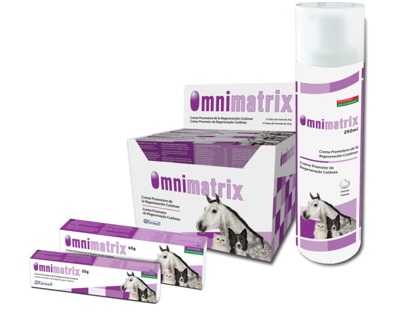 Omnimatrix quer premiar cicatrizações de sucesso