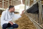 Carreira especial de inspeção veterinária aprovada pelo Governo