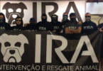 IRA vai abrir CAMV