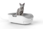 Empresa japonesa cria liteira para gatos que deteta doenças