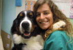 “No Reino Unido, os médicos veterinários estão mais dependentes dos enfermeiros”
