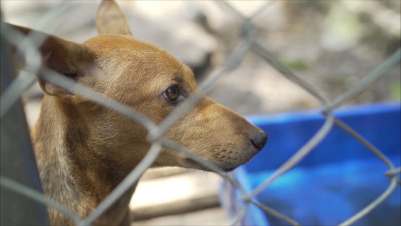 Novo CRO do Porto abre portas em maio