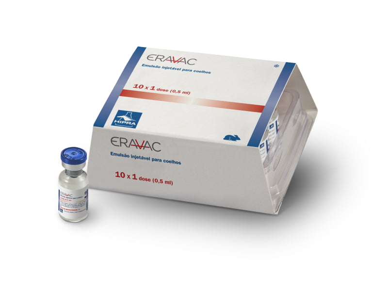 Hipra lança nova vacina para prevenção da doença hemorrágica do coelho do tipo 2