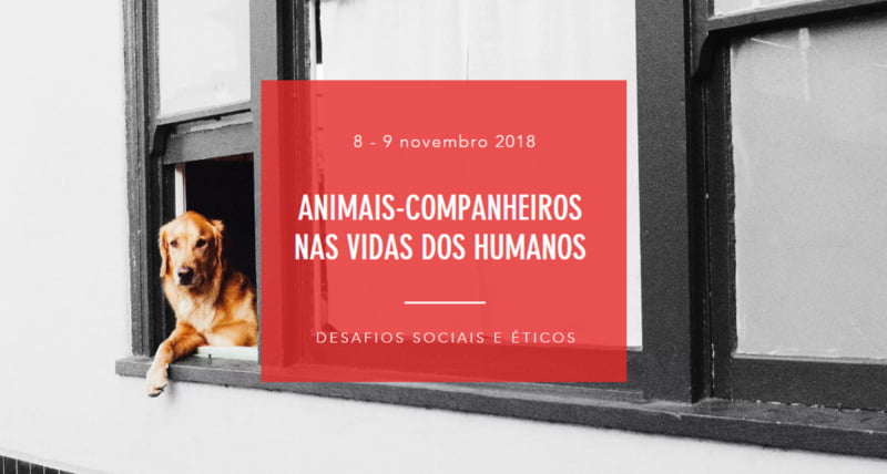 ‘Animais-companheiros nas vidas dos humanos’: desafios sociais e éticos em discussão