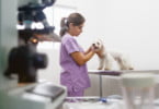 Tendências do sector veterinário