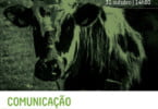 Seminário ‘Aspetos de Bem-estar animal e produção pecuária’ é já esta semana