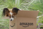 Amazon quer alargar ‘presença’ no mercado pet