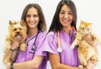 Há ou não excesso de médicos veterinários?