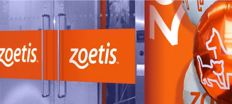 Zoetis aposta 7,7 milhões de dólares para melhorar cuidados veterinários globalmente